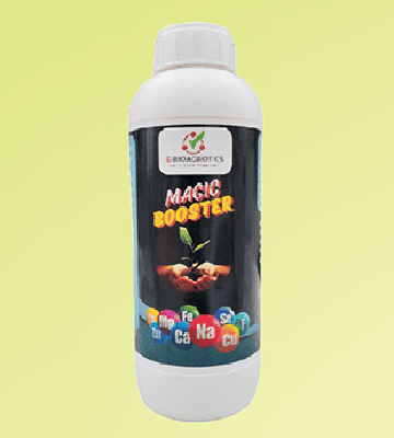 Magic Booster